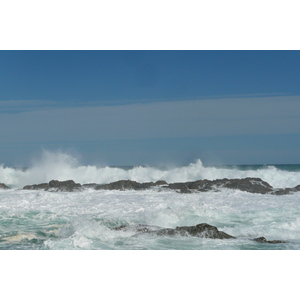 照片 南非(South Africa) 齐齐卡马国家公园(Tsitsikamma National Park) 2008-09 263