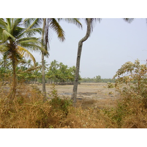照片 印度(India) 果阿(Goa) 2003-05 52