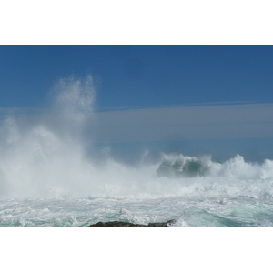照片 南非(South Africa) 齐齐卡马国家公园(Tsitsikamma National Park) 2008-09 289