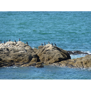 照片 法国(France) 滨海皮里亚克(Piriac sur mer) 2009-08 9