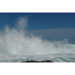 照片 南非(South Africa) 齐齐卡马国家公园(Tsitsikamma National Park) 2008-09 296