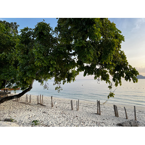 照片 泰国(Thailand) 大皮皮岛(Ko Phi Phi Don) 2021-12 165