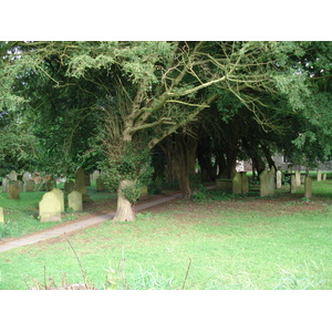 照片 英国(United Kingdom) 布雷肯(Brecon) 2006-05 11