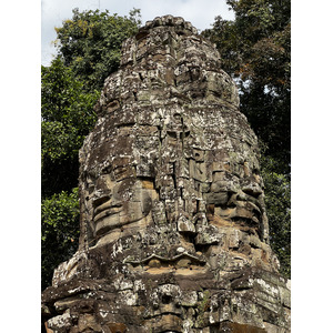 照片 柬埔寨(Cambodia) 暹粒(Siem Reap) 塔布茏寺(Ta Prohm) 2023-01 38