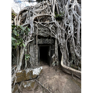 照片 柬埔寨(Cambodia) 暹粒(Siem Reap) 塔布茏寺(Ta Prohm) 2023-01 29
