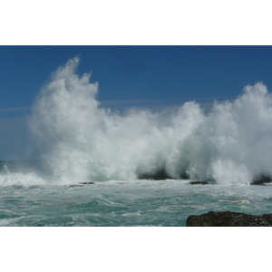 照片 南非(South Africa) 齐齐卡马国家公园(Tsitsikamma National Park) 2008-09 200