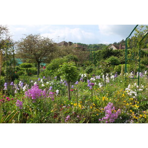 照片 法国(France) 吉维尼(Giverny) 2013-06 180