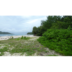 照片 塞舌尔(Seychelles) 居里厄斯岛(Curieuse) 2011-10 7