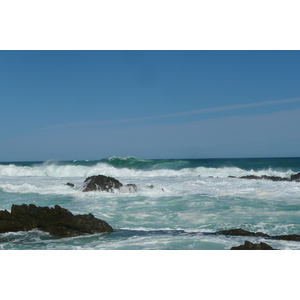 照片 南非(South Africa) 齐齐卡马国家公园(Tsitsikamma National Park) 2008-09 158