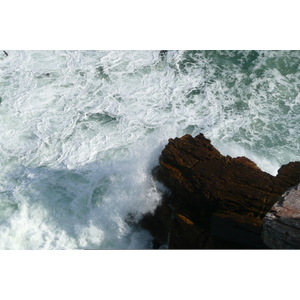照片 南非(South Africa) 好望角(Cape of Good Hope) 开普角(Cape Point) 2008-09 21
