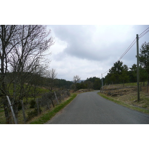 照片 法国(France) 奥布拉克(L'Aubrac) 2008-04 88