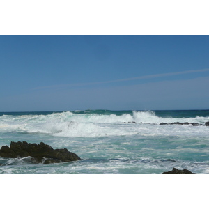 照片 南非(South Africa) 齐齐卡马国家公园(Tsitsikamma National Park) 2008-09 216