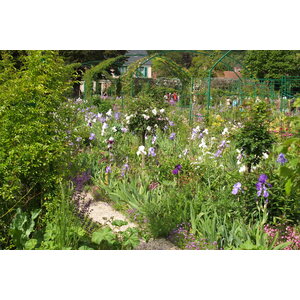 照片 法国(France) 吉维尼(Giverny) 2013-06 118
