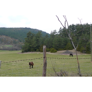 照片 法国(France) 奥布拉克(L'Aubrac) 2008-04 109