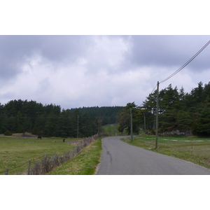 照片 法国(France) 奥布拉克(L'Aubrac) 2008-04 123