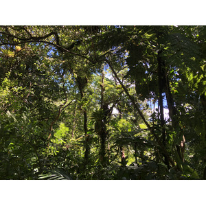照片 瓜德罗普(Guadeloupe) 大苏弗里耶尔火山(La Grande Soufriere) 2021-02 81
