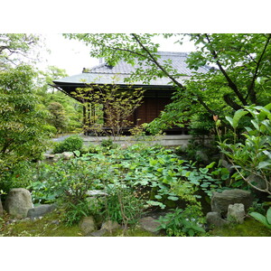 照片 日本(Japan) 京都(Kyoto) 涉成园(Shosei en Garden) 2010-06 15