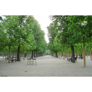 照片 法国(France) 巴黎(Paris) 卢森堡公园(Luxembourg Garden) 2007-04 94