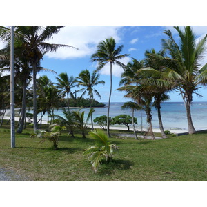 照片 新喀里多尼亚(New Caledonia) 利富岛(Lifou) 2010-05 20