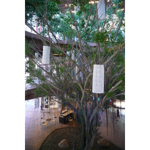 照片 泰国(Thailand) 芭提雅(Pattaya) 芭提雅大道(Pattaya Avenue) 2008-01 41