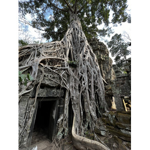 照片 柬埔寨(Cambodia) 暹粒(Siem Reap) 塔布茏寺(Ta Prohm) 2023-01 61