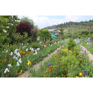 照片 法国(France) 吉维尼(Giverny) 2013-06 117