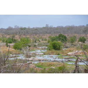 照片 南非(South Africa) 克鲁格国家公园(Kruger National Park) 鳄鱼河(Crocodile River) 2008-09 43