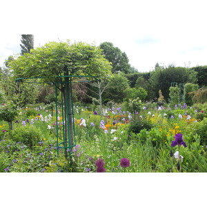 照片 法国(France) 吉维尼(Giverny) 2013-06 81