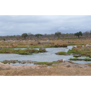 照片 南非(South Africa) 克鲁格国家公园(Kruger National Park) 鳄鱼河(Crocodile River) 2008-09 30