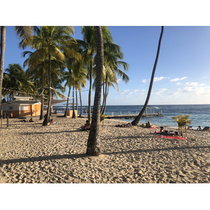 照片 瓜德罗普(Guadeloupe) 卡拉维尔海滩(La Caravelle Beach) 2021-02 76