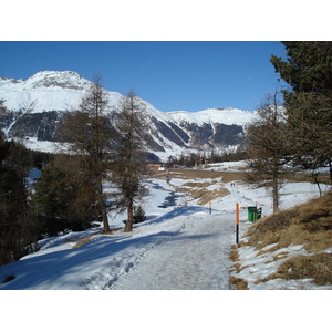 照片 瑞士(Switzerland) 蓬特雷西纳(Pontresina) 2007-01 1