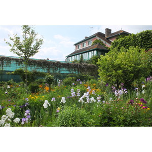 照片 法国(France) 吉维尼(Giverny) 2013-06 0