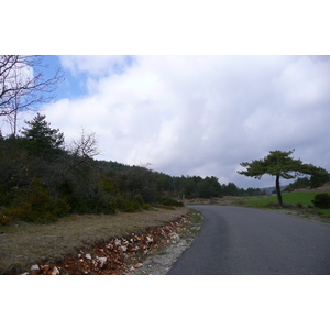 照片 法国(France) 奥布拉克(L'Aubrac) 2008-04 65