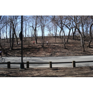 照片 美国(United States) 纽约(New York) 中央公园(Central Park) 2006-03 6