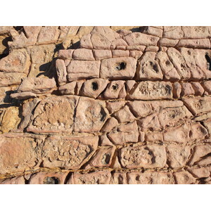 照片 希腊(Greece) 库福尼西亚群岛(Koufonissia) 2014-07 429