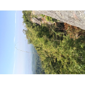 照片 泰国(Thailand) 普欣隆卡国家公园(Phu Hin Rong Kla National Park) 2014-12 170