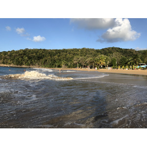 照片 瓜德罗普(Guadeloupe) 珍珠海滩(La Perle Beach) 2021-02 113