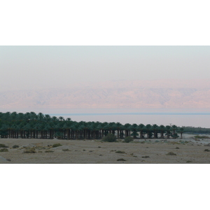 照片 以色列(Israel) 死海(Dead Sea) 2007-06 91