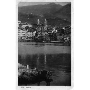 照片 法国(France) 科西嘉岛(Corsica) 老明信片(Old Postcards) 巴斯蒂亚(Bastia) 1900-01 162