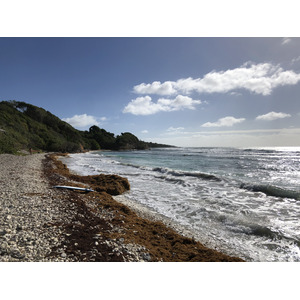 照片 瓜德罗普(Guadeloupe) 圣安妮(Sainte Anne) 2021-02 22