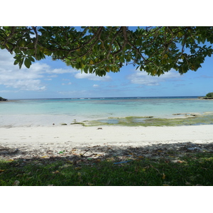照片 新喀里多尼亚(New Caledonia) 利富岛(Lifou) 穆(Mu) 2010-05 26