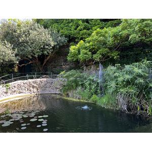 照片 意大利(Italy) 佛罗伦萨(Florence) 2022-05 53