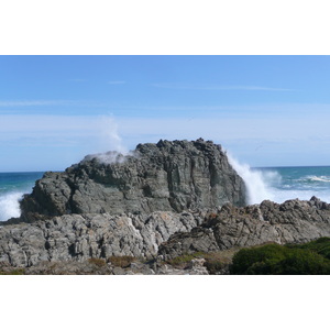 照片 南非(South Africa) 齐齐卡马国家公园(Tsitsikamma National Park) 2008-09 36