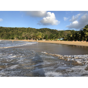 照片 瓜德罗普(Guadeloupe) 珍珠海滩(La Perle Beach) 2021-02 117