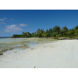 照片 新喀里多尼亚(New Caledonia) 利富岛(Lifou) 穆(Mu) 2010-05 19