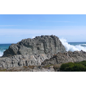照片 南非(South Africa) 齐齐卡马国家公园(Tsitsikamma National Park) 2008-09 143