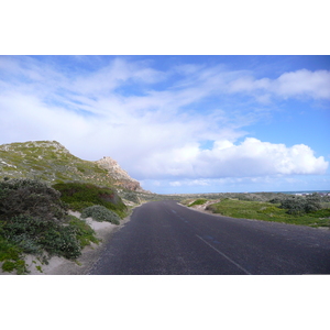 照片 南非(South Africa) 好望角(Cape of Good Hope) 开普角(Cape Point) 2008-09 73