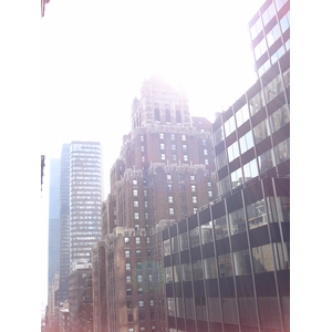 照片 美国(United States) 纽约(New York) 沿第五大道而下(down the 5th Avenue) 2006-03 27