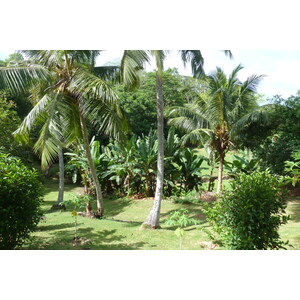 照片 塞舌尔(Seychelles) 普拉兰岛(Praslin) 2011-10 72
