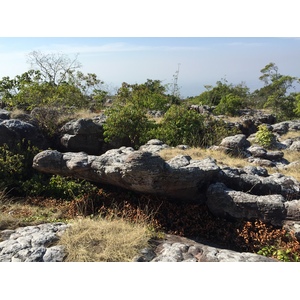 照片 泰国(Thailand) 普欣隆卡国家公园(Phu Hin Rong Kla National Park) 2014-12 257